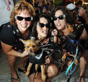 Pet Masquerade and Parade 2010 photo - Duval Street, Key West